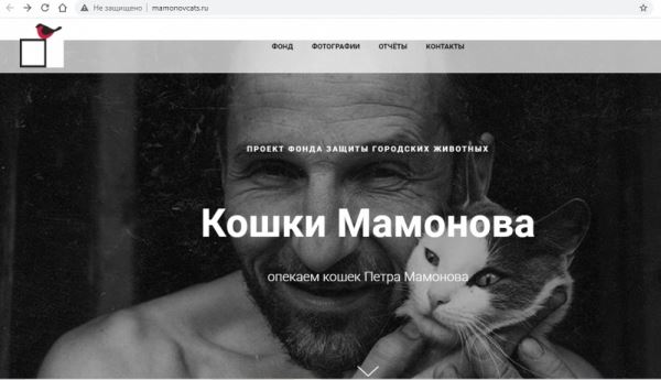 У кошек Петра Мамонова появился свой сайт. Его открыли, чтобы спасти питомцев музыканта